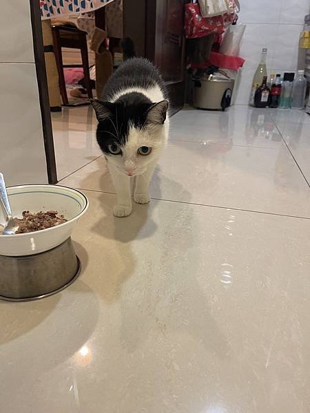 S__4300832.jpg S__4300832.jpg