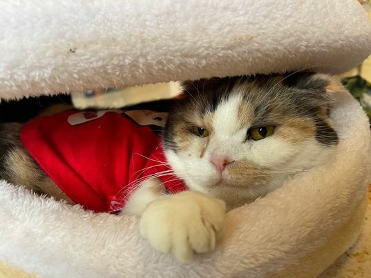 319748018_5851753468226930_6278156127431955794_n.jpg 319748018_5851753468226930_6278156127431955794_n.jpg