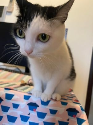 330081858_852962632479732_621300242111108965_n.jpg 330081858_852962632479732_621300242111108965_n.jpg