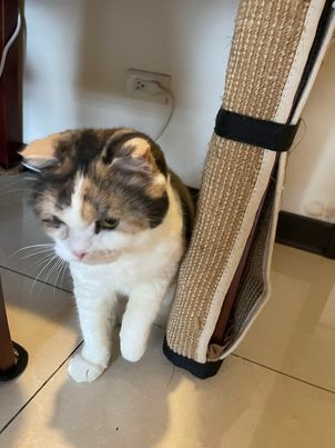 329931918_580575083970019_69938484892737010_n.jpg 329931918_580575083970019_69938484892737010_n.jpg