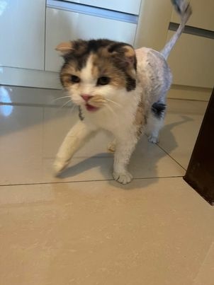 359578185_2022838728056351_7257433295290448863_n.jpg 359578185_2022838728056351_7257433295290448863_n.jpg