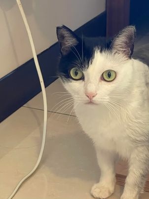 355960460_669463791867219_3944904972047398671_n.jpg 355960460_669463791867219_3944904972047398671_n.jpg