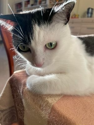 362501973_216653387609670_9094056092961603362_n.jpg 362501973_216653387609670_9094056092961603362_n.jpg