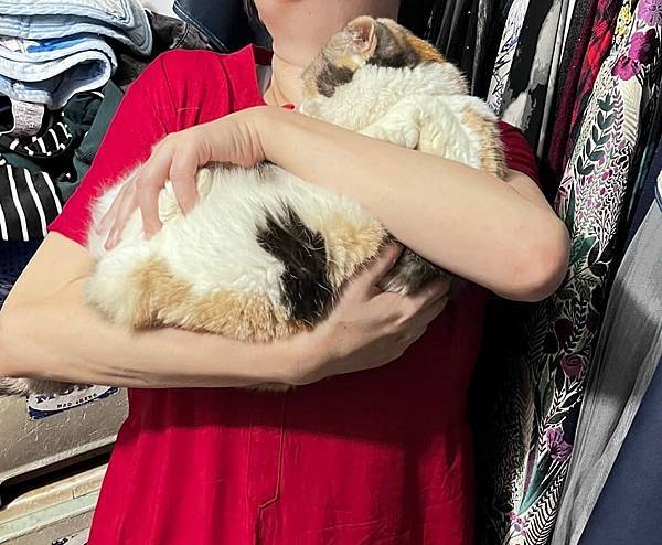 [寵物溝通事件]右右花花首次外宿阿姨家一周，難道被丟掉了?