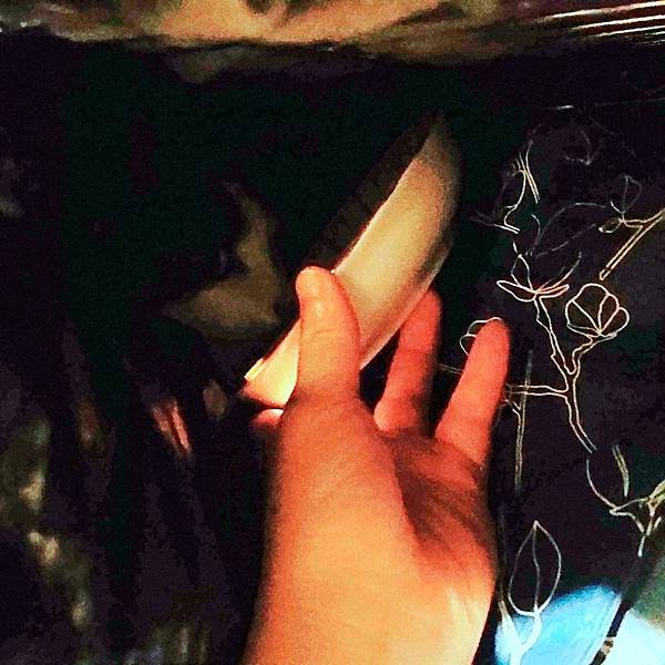 [寵物溝通事件]右右花花首次外宿阿姨家一周，難道被丟掉了?