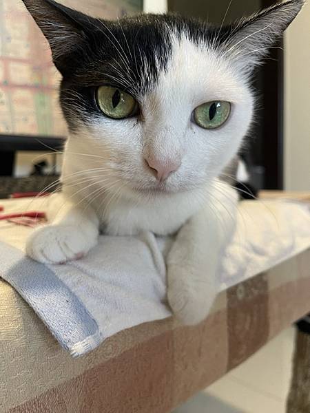 下載.jpg 下載.jpg