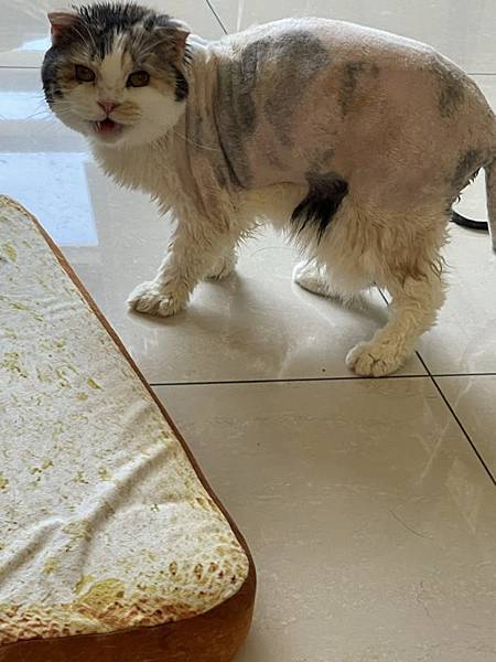 下載 (1).jpg 下載 (1).jpg