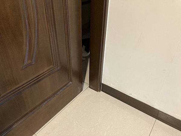 [2024.8]爸媽出國去，把貓貓留在家裡，叔叔阿姨來照顧