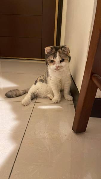 [2024.8]農曆七月 右右你再說甚麼 別嚇媽媽阿