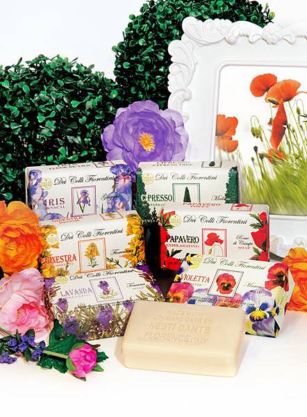 NES00021_26_image NES00021_26_image