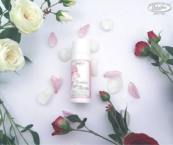 26904279_1189300037869002_1714908306935535604_n 26904279_1189300037869002_1714908306935535604_n