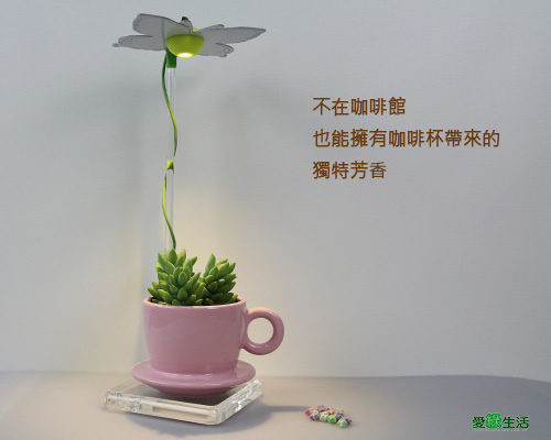 愛綠生活 時尚植物燈 甜美粉紅文青咖啡杯