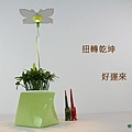 時尚植物燈 智慧 扭轉型花器7