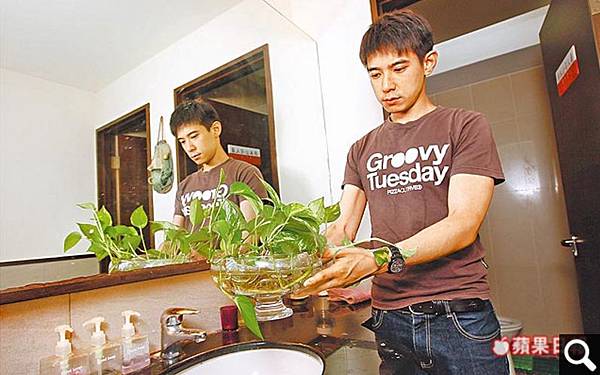 衛浴放黃金葛 去除穢氣 愛綠生活 時尚植物燈 痞客邦 衛浴放黃金葛 去除穢氣 愛綠生活 時尚植物燈 痞客邦