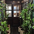 植物改善室內空氣