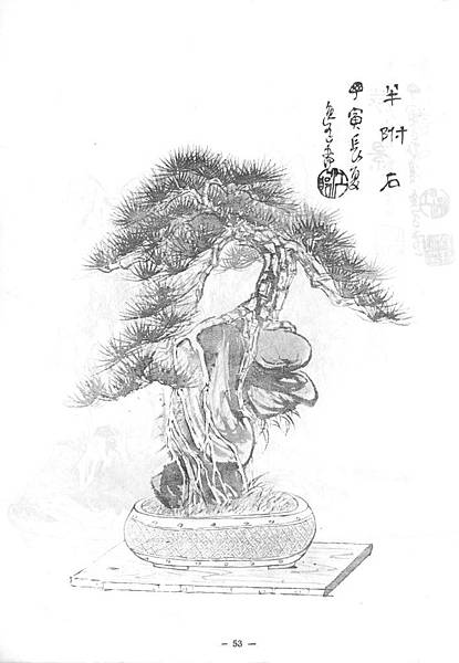 理想樹型三十二圖 修果的家 痞客邦