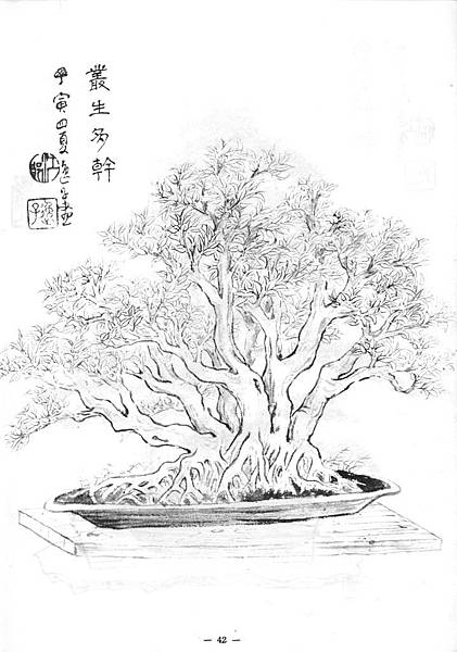 理想樹型三十二圖 修果的家 痞客邦