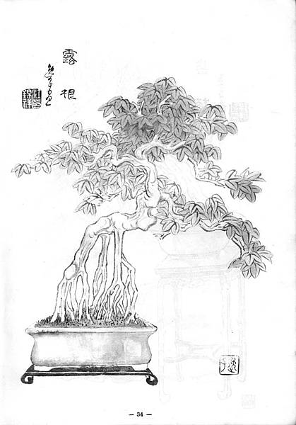 理想樹型三十二圖 修果的家 痞客邦