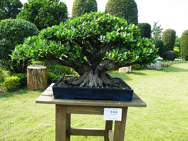 DSCF9472.JPG DSCF9472.JPG