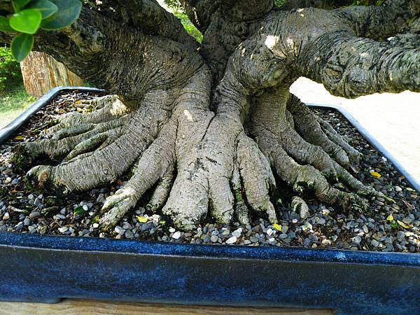 DSCF9473.JPG DSCF9473.JPG