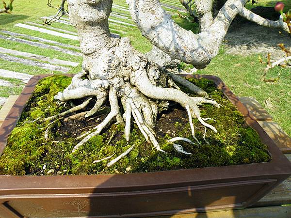 DSCF9478.JPG DSCF9478.JPG