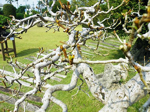 DSCF9481.JPG DSCF9481.JPG