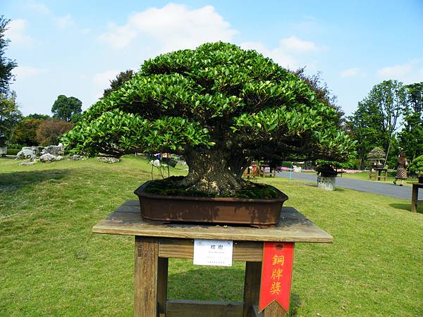 DSCF9483.JPG DSCF9483.JPG