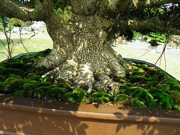 DSCF9484.JPG DSCF9484.JPG