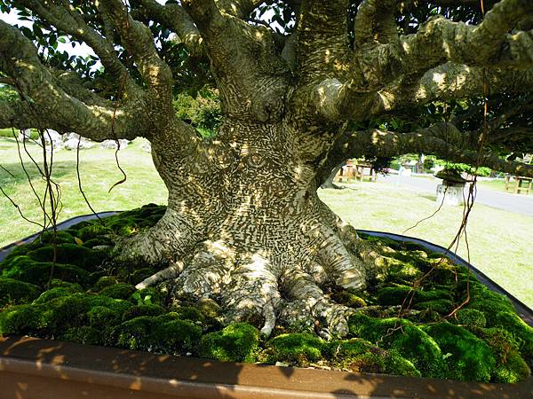 DSCF9485.JPG DSCF9485.JPG