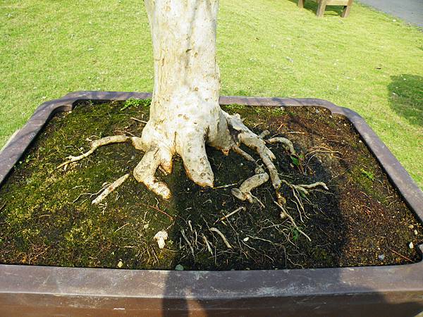 DSCF9489.JPG DSCF9489.JPG