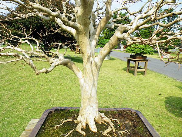 DSCF9490.JPG DSCF9490.JPG