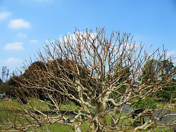 DSCF9491.JPG DSCF9491.JPG