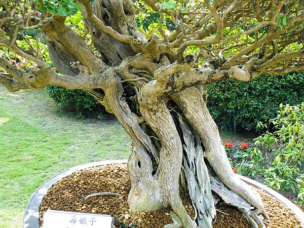 DSCF9494.JPG DSCF9494.JPG