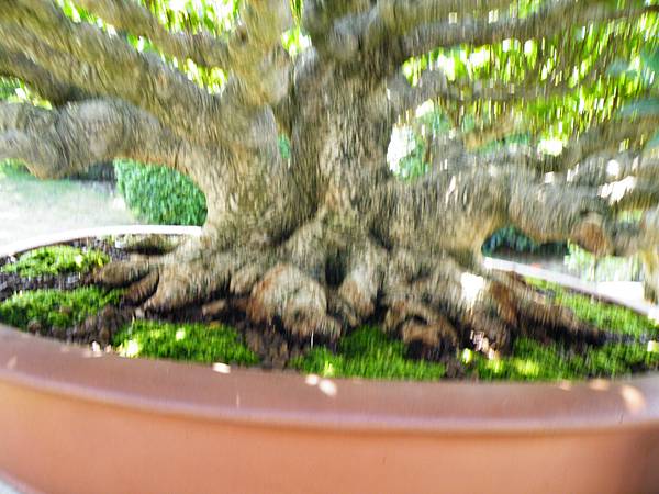 DSCF9497.JPG DSCF9497.JPG