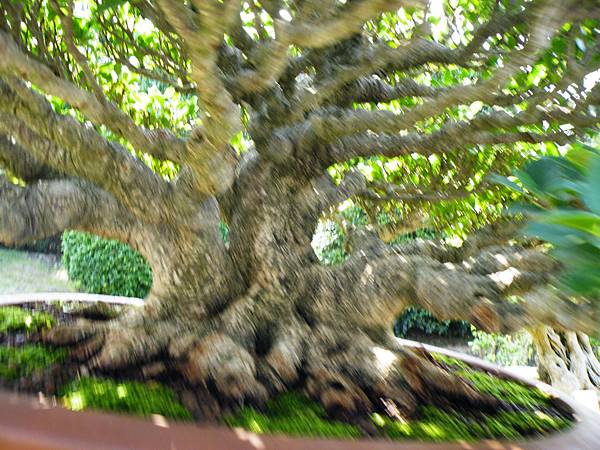 DSCF9498.JPG DSCF9498.JPG