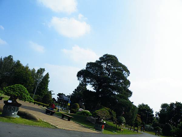 DSCF9500.JPG DSCF9500.JPG