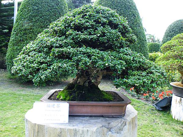 DSCF9501.JPG DSCF9501.JPG