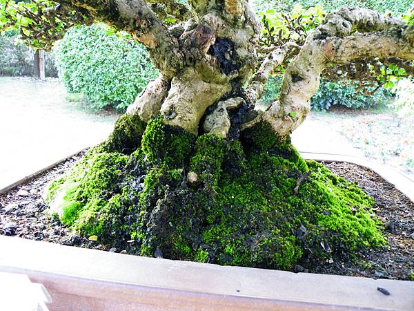 DSCF9502.JPG DSCF9502.JPG