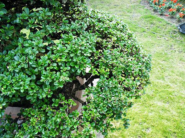 DSCF9504.JPG DSCF9504.JPG