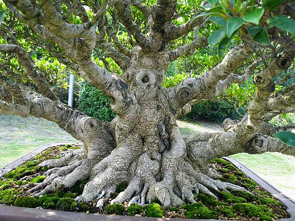 DSCF9509.JPG DSCF9509.JPG