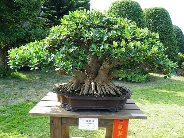 DSCF9511.JPG DSCF9511.JPG