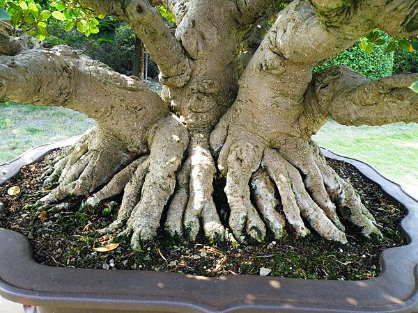 DSCF9512.JPG DSCF9512.JPG