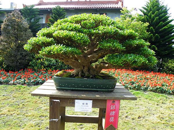 DSCF9519.JPG DSCF9519.JPG