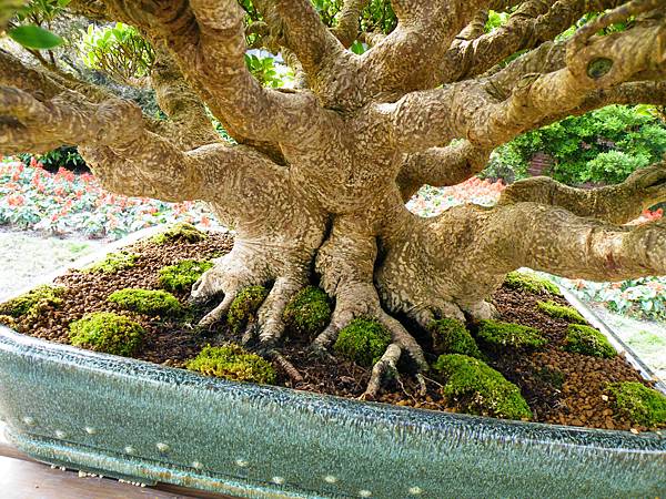 DSCF9520.JPG DSCF9520.JPG