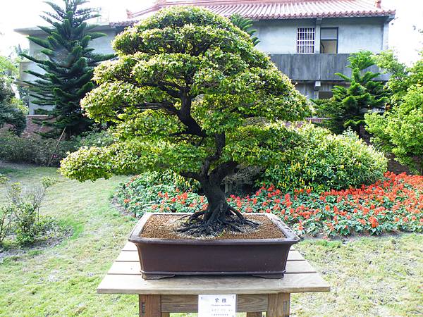 DSCF9522.JPG DSCF9522.JPG