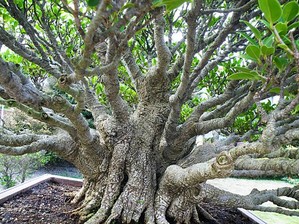 DSCF9537.JPG DSCF9537.JPG