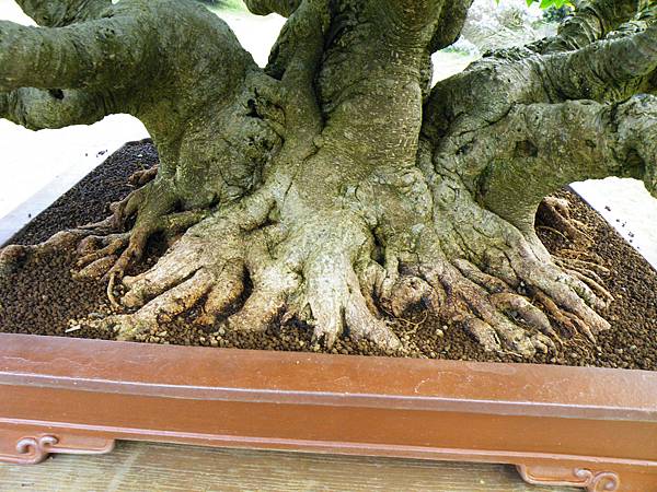 DSCF9539.JPG DSCF9539.JPG