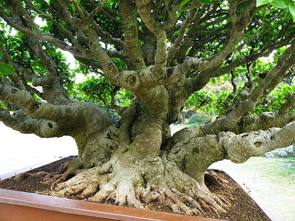 DSCF9540.JPG DSCF9540.JPG