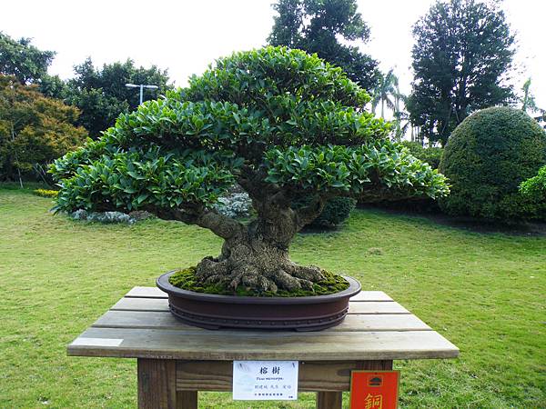 DSCF9542.JPG DSCF9542.JPG