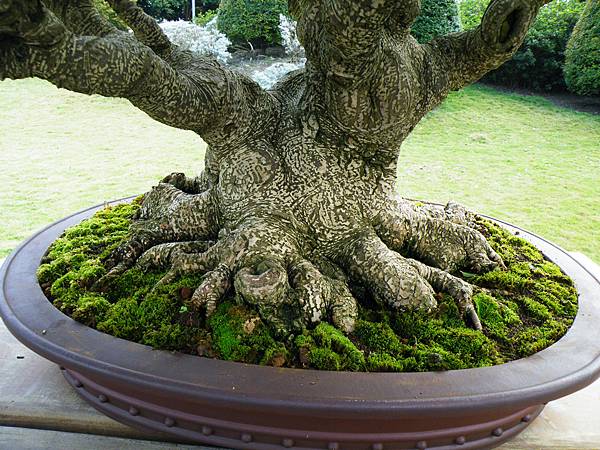 DSCF9543.JPG DSCF9543.JPG